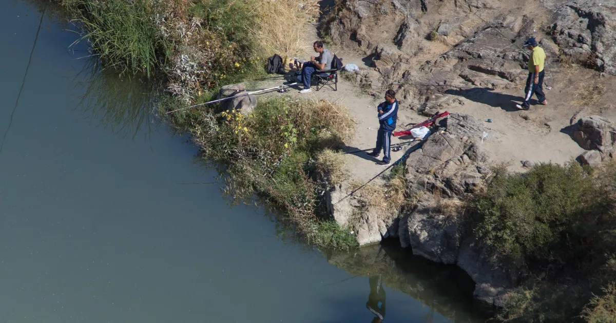 New Media | is ned org