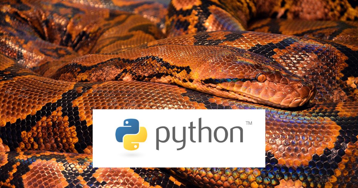 Von 0 auf 100: Python Programmieren Tutorial • is ned org
